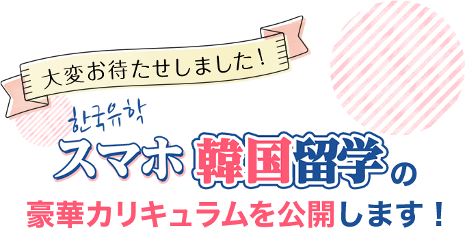 カリキュラムを公開